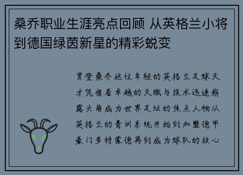桑乔职业生涯亮点回顾 从英格兰小将到德国绿茵新星的精彩蜕变