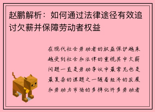 赵鹏解析：如何通过法律途径有效追讨欠薪并保障劳动者权益